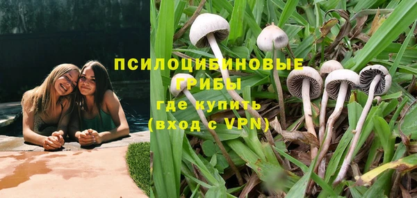 амф Магас