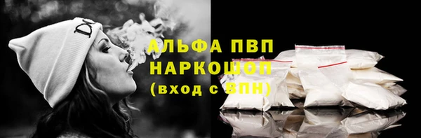 амф Магас