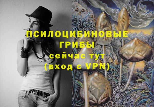 амф Магас